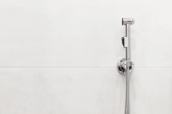 Toilet Bidet Installation